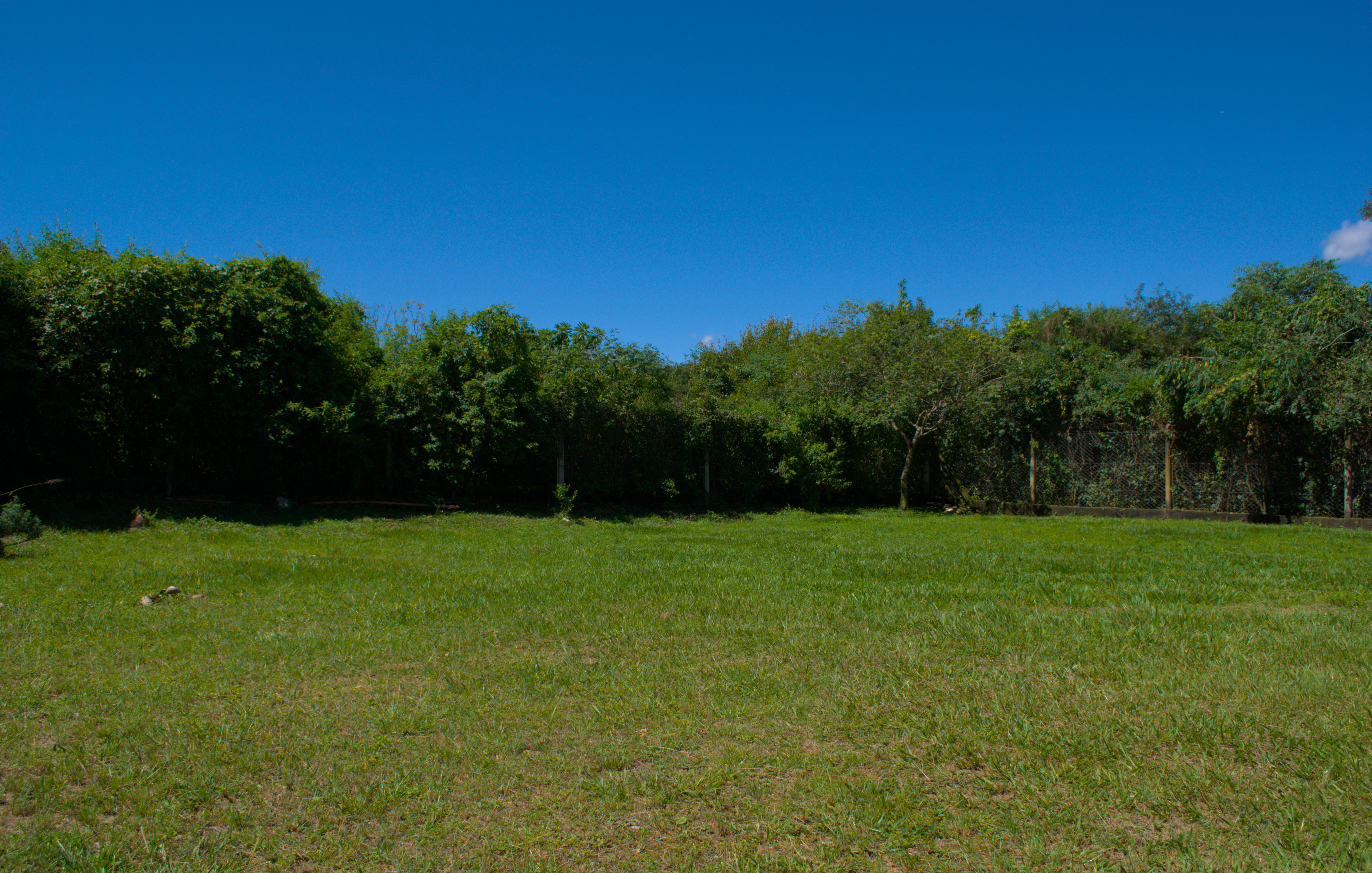Área de espacios verdes de la residencia